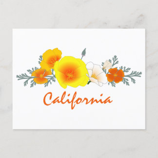 Poppy Bouquet with California Text Postcard