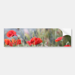 poppy bumper sticker