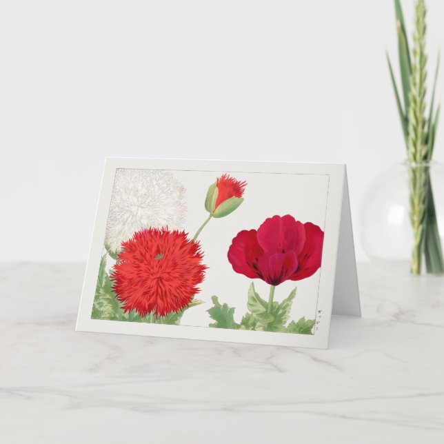 Poppy by Tanigami Konan Card (Front)