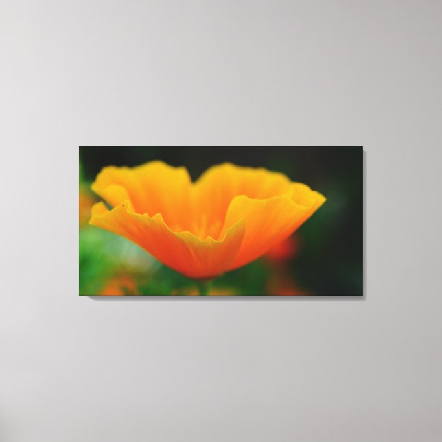 Poppy! Canvas Print (Front)