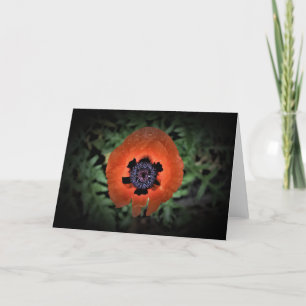 Poppy, card