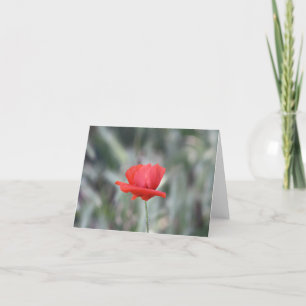 Poppy card