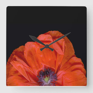 "Poppy-clock"! Square Wall Clock