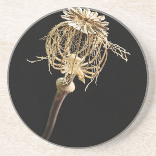 Poppy Coaster