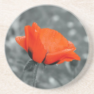 Poppy Coaster