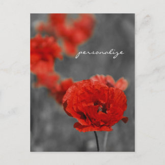 Poppy Comet Postcard