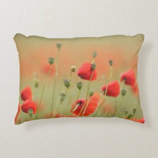 poppy decorative cushion