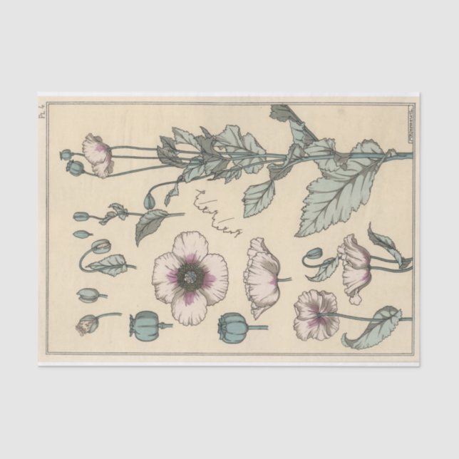 Poppy, Eugene Grasset's Botany Series Tissue Paper (Front)