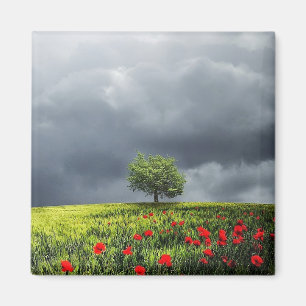 Poppy Field and Cloudy Sky Magnet