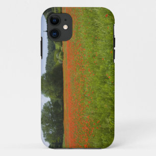 Poppy field, Chiusi, Italy Case-Mate iPhone Case