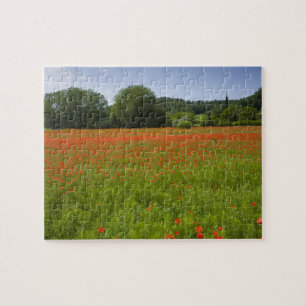 Poppy field, Chiusi, Italy Jigsaw Puzzle