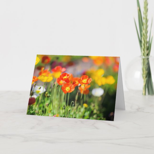 Poppy field greeting card (Front)