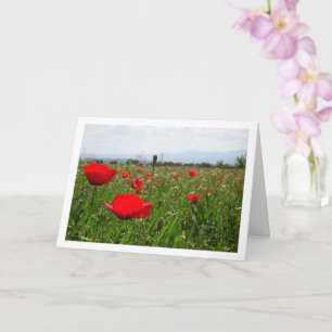 Poppy Field Landscape Card