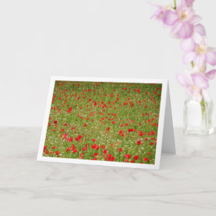 Poppy Field Landscape Card