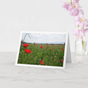 Poppy Field Landscape Card