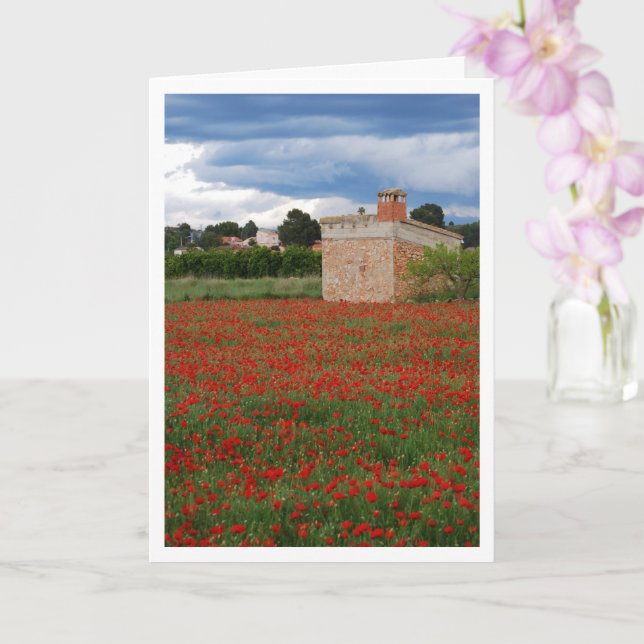 Poppy Field Landscape Card (Orchid)