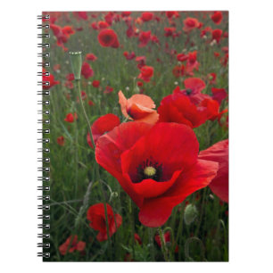 Poppy Field Notebook
