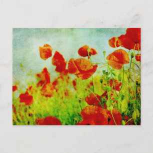 Poppy Field Postcard