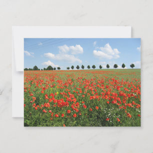 Poppy Field Postcard