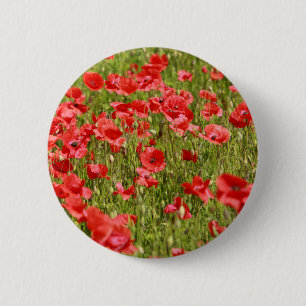 Poppy field - Stunning! 6 Cm Round Badge