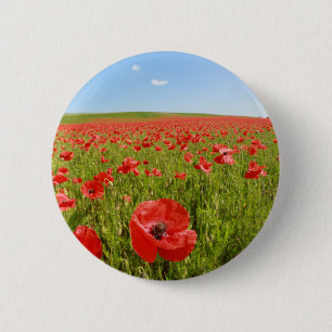 Poppy field - Stunning! 6 Cm Round Badge