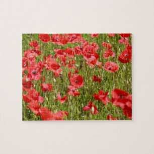 Poppy field - Stunning! Jigsaw Puzzle