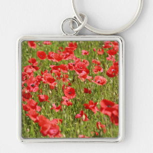 Poppy field - Stunning! Key Ring