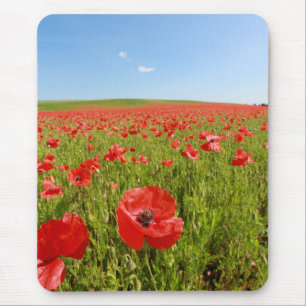 Poppy field - Stunning! Mouse Pad