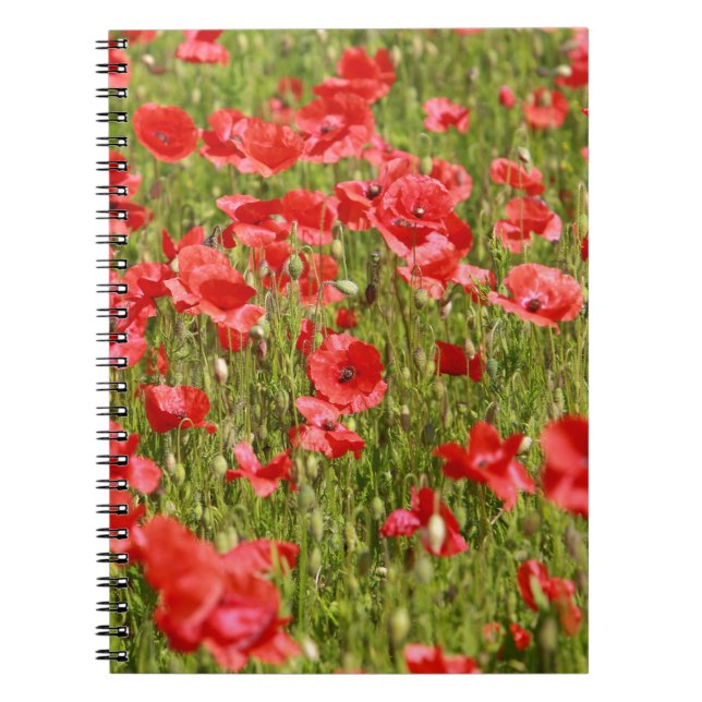 Poppy field - Stunning! Notebook (Front)