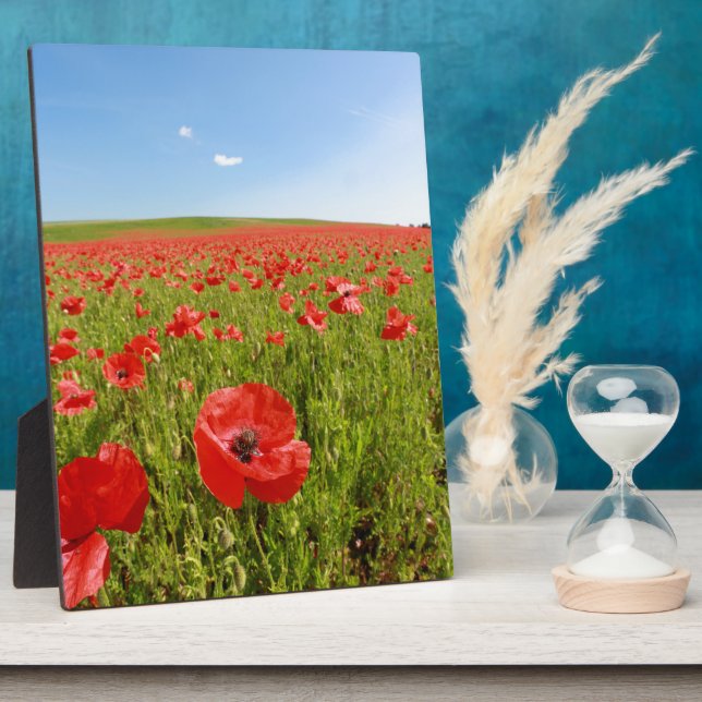 Poppy field - Stunning! Plaque (Side)