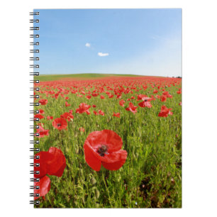 Poppy field - Stunning! Spiral Notebook