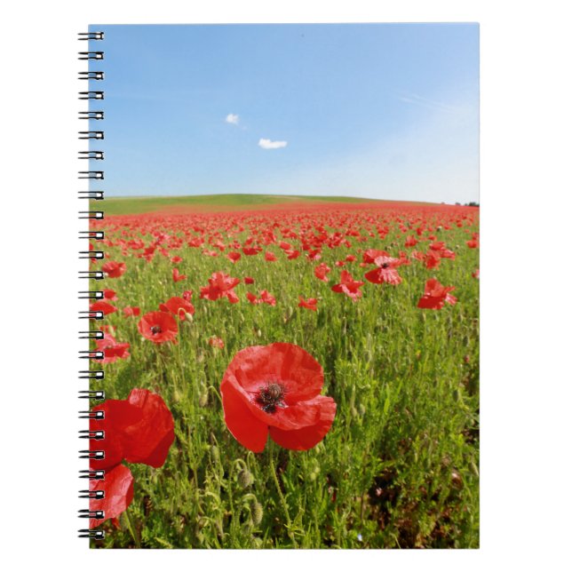 Poppy field - Stunning! Spiral Notebook (Front)
