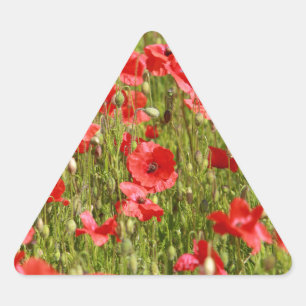 Poppy field - Stunning! Triangle Sticker