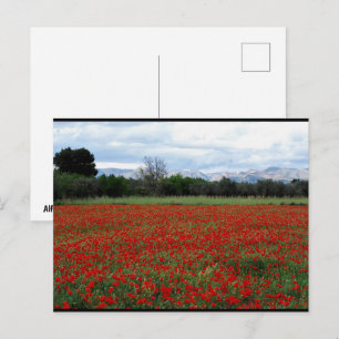 Poppy Field Tree Line Postcard