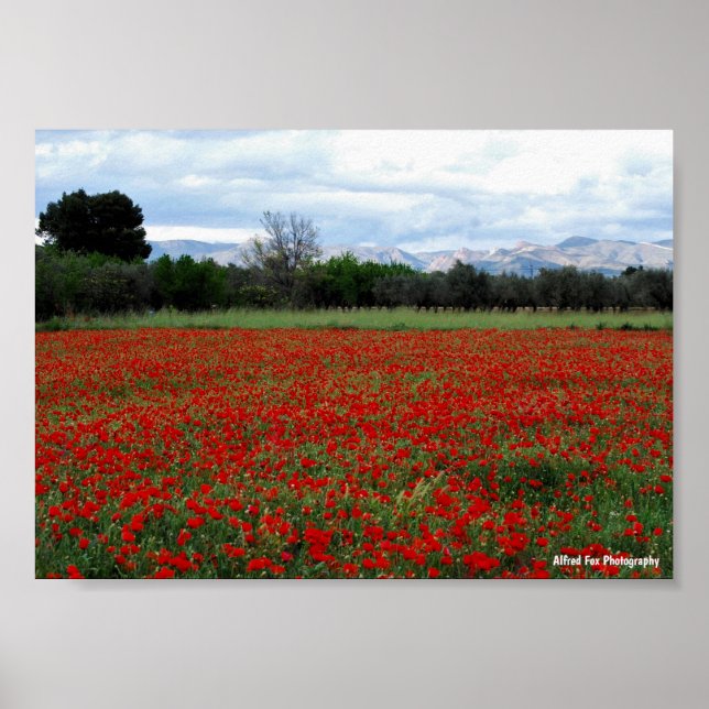 Poppy Field Tree Line Poster (Front)