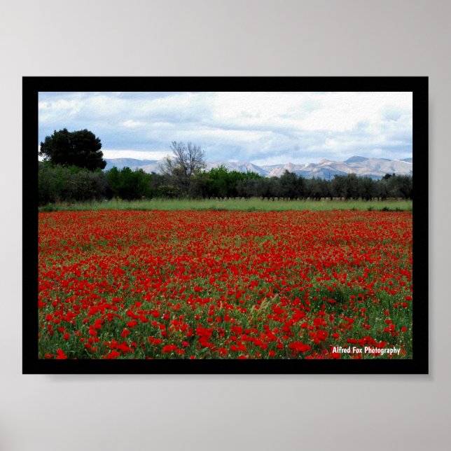 Poppy Field Tree Line Poster (Front)
