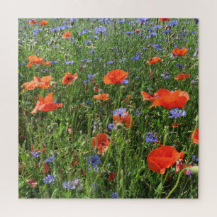 poppy, flower, field, nature, spring, background, jigsaw puzzle
