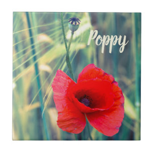 Poppy flower for gardeners and blossom lover gift tile