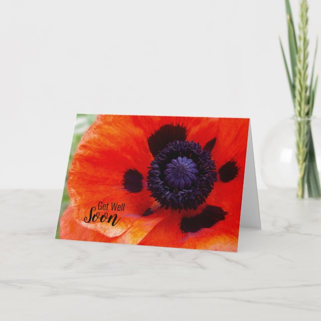 Poppy Flower Get Well Soon Card (Front)