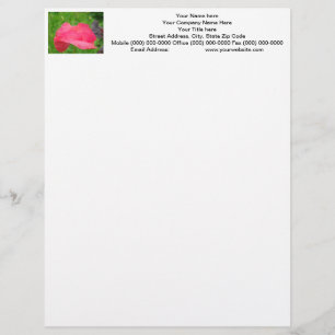 Poppy Flower Letterhead Custom Pink Poppies Template