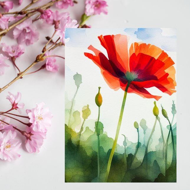 Poppy flower, meadow, watercolor art, flower postcard (Creator Uploaded)