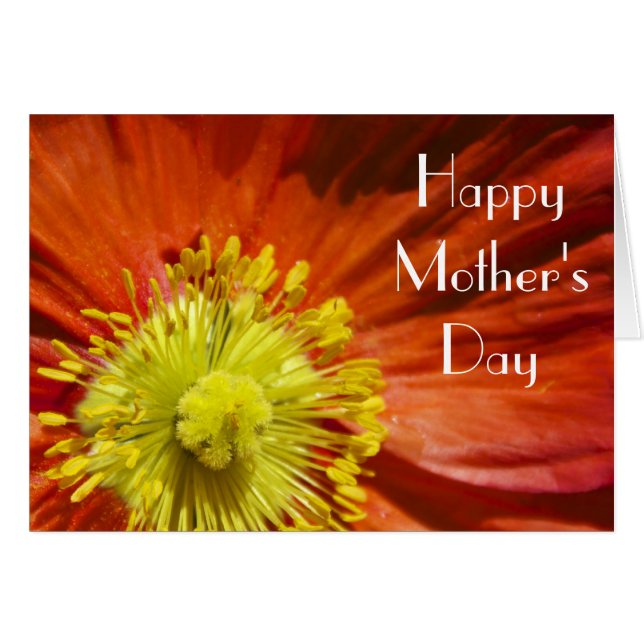 Poppy Flower Mother's Day (Front Horizontal)