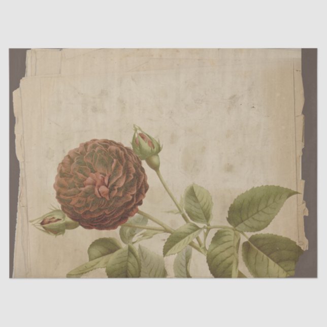 Poppy Flower on Distressed Decoupage Tissue Paper (Front)