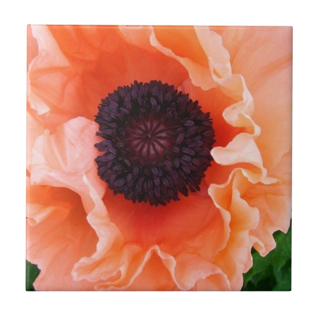 Poppy Flower Tile (Front)
