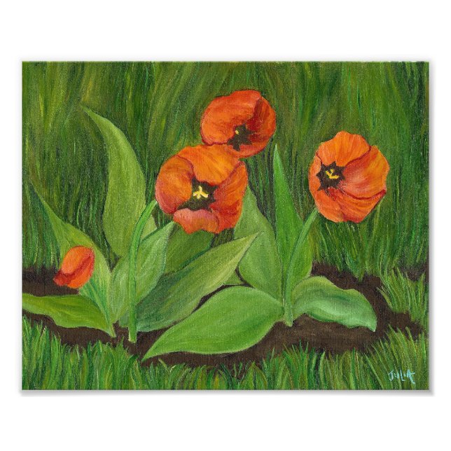Poppy Flowering Tulips Photo Print (Front)