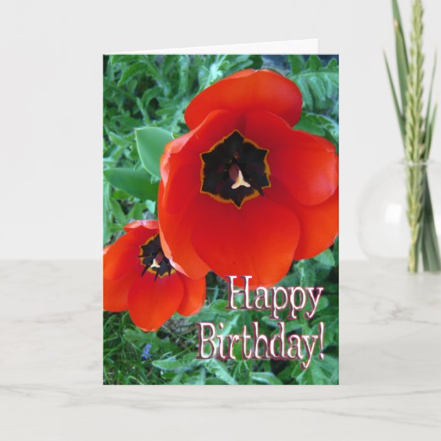 Poppy Flowers - Happy Birthday! Card (Front)