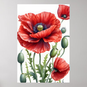 Poppy Flowers Poster - Floral Blossom Wall Art
