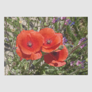 POPPY FLOWERS TISSUE PAPER