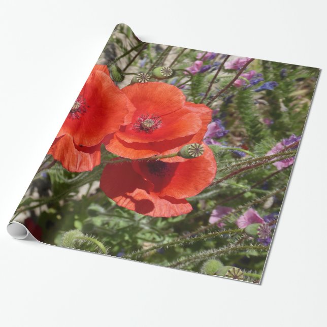 POPPY FLOWERS WRAPPING PAPER (Unrolled)