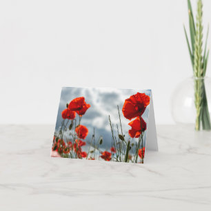 Poppy greetings card